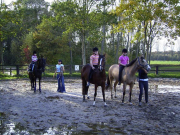 Ausreiten am Ponyhof