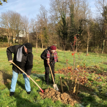 Baumpflanzaktion 2025