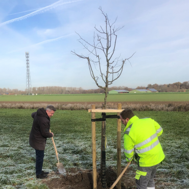 Baumpflanzaktion 2025