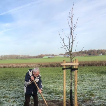 Baumpflanzaktion 2025