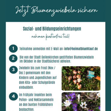Blumenzwiebeln kostenlos für Kitas und Schulen