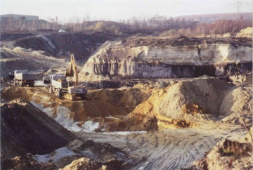 Tonlinse in Borger Kiesgrube auf Abt. 819